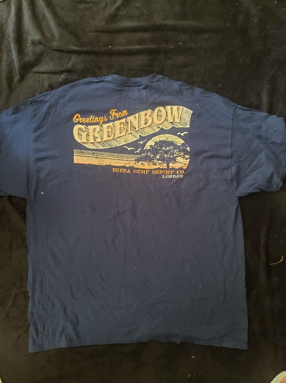 Bubba Gump Navy 'Greenbow' Graphic T‑Shirt XXL